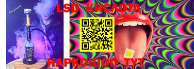 PSILOCYBIN Заводоуковск