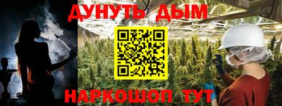 PSILOCYBIN Заводоуковск