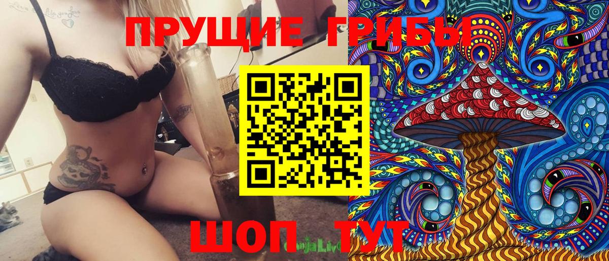 Псилоцибиновые грибы прущие грибы  Вход с VPN  Малоярославец 